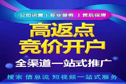 SEM推广策略的五大关键点及成功案例